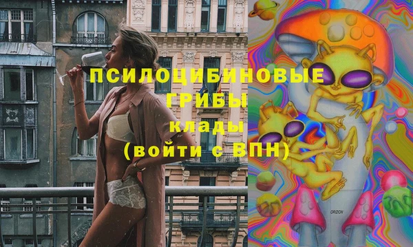 твердый Алзамай