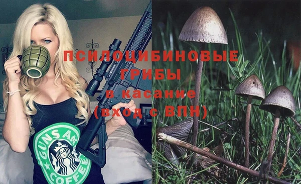 твердый Алзамай
