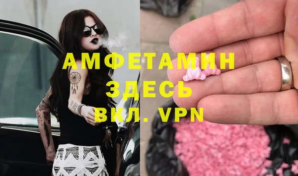 твердый Алзамай
